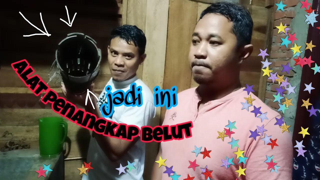 Mengunjungi tempat penangkaran BELUT SAWAH 