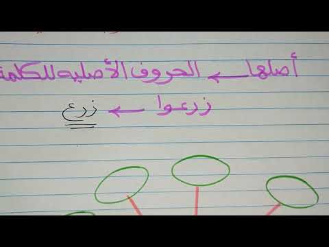 فيديو: ما هي كلمات البصر الصف الثالث؟