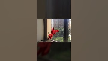 Ligxo | My first try at motion tracking #animation #short