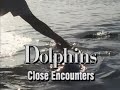 Dolphins: Close Encounters (1992)