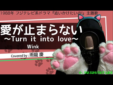 【337/365】愛が止まらない ～Turn it Into Love～ / Wink (covered by 雨龍 慶)【歌ってみた】