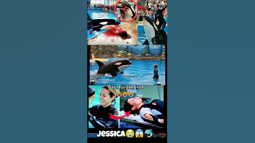 Jessica Orca Attack Orca Attack In Jessica Very Sad Story Jessica Radcliffe Real 