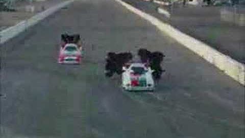 John Force and Mike Neff at Phoenix 2008