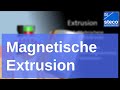 StecoTitanmagnetics Extrusion von Wurzelfragmenten