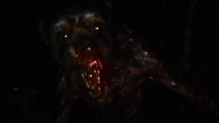 Midnight Productions: PROXIMUS 371 (Analog Horror / Found Footage)