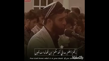 حالات واتس اب دينية القارئ  الكردي