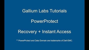 PowerProtect Recovery + Instant Access