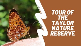 A Tour Of The Taylor Nature Reserve