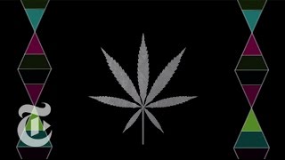 Marijuana: Uncertain Medicine | The New York Times