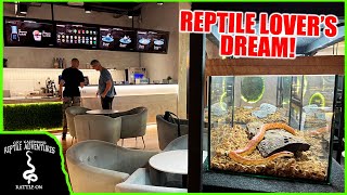 MALAYSIA'S REPTILE CAFE! PLAY WITH SNAKES WHILE YOU EAT!