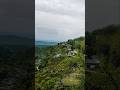 Beautiful View in Bangoru Valley Bir Billing ⛰️😍