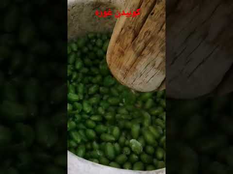 کوبیدن غوره برای گرفتن آبغوره تازه در هاون سنگی ویدئو کامل در کانال ایلیات