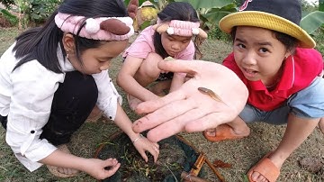 Lộc TiVi 1 Ngày đi xúc Cá, Tôm, Cua, Ốc 2