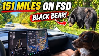 Tesla FSD Drove Us 151 Miles to the Lake… Then We Saw THIS