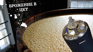 Брожение в ЦКТ,полный цикл брожения,сухое охмеление,DIPA.