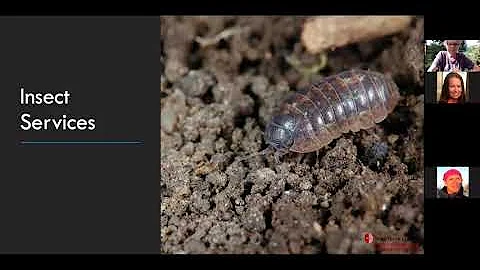 SoMAS Summer Talks - The Dirt on Soil: Worms and t...