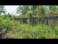 A dilapidated abandoned house with trees covering the house for more than 50 years