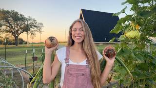 I Did A Experiment Growing Onions And Waited 6 Months To See The Results! 2026 Onion Harvest!