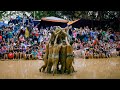 Wrestling on muddy field - Festival to pray for water sources in Vietnam | SAPA TV