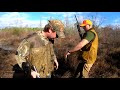 Alabama rabbit hunt in the Ball play swamp