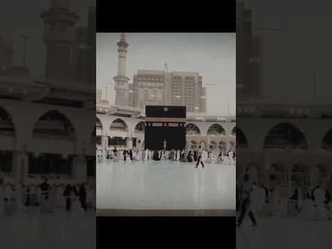 الم تكن اياتي تتلى عليكم بصوت الشيخ ياسر الدوسري