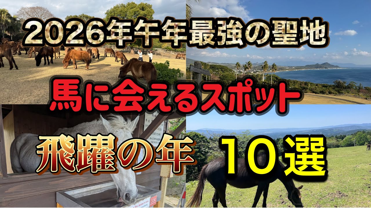 【2026年開運】午年はここから！鹿児島の「馬スポット」巡りで最強の運気を掴め！