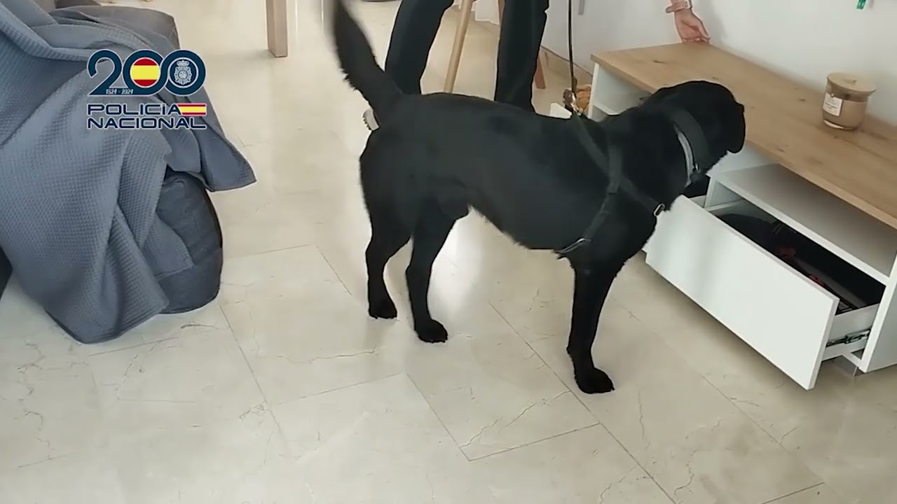 Desarticulan un grupo criminal que captaba mujeres en Ucrania