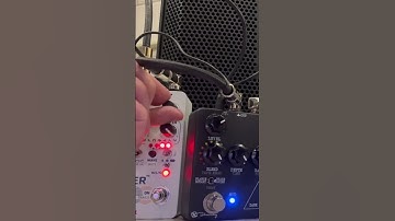 Rucci 8-bit Power Synthesizer + Red Panda Lab Raster 2 + Keeley Electronics Dark Side