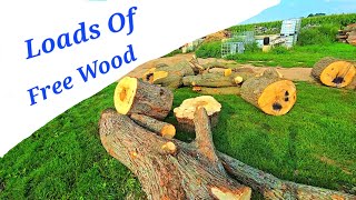 Loads Of Free Wood