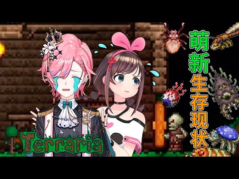 【Terraria】Play Terraria with my new girl~P1