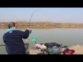 match carp fishing