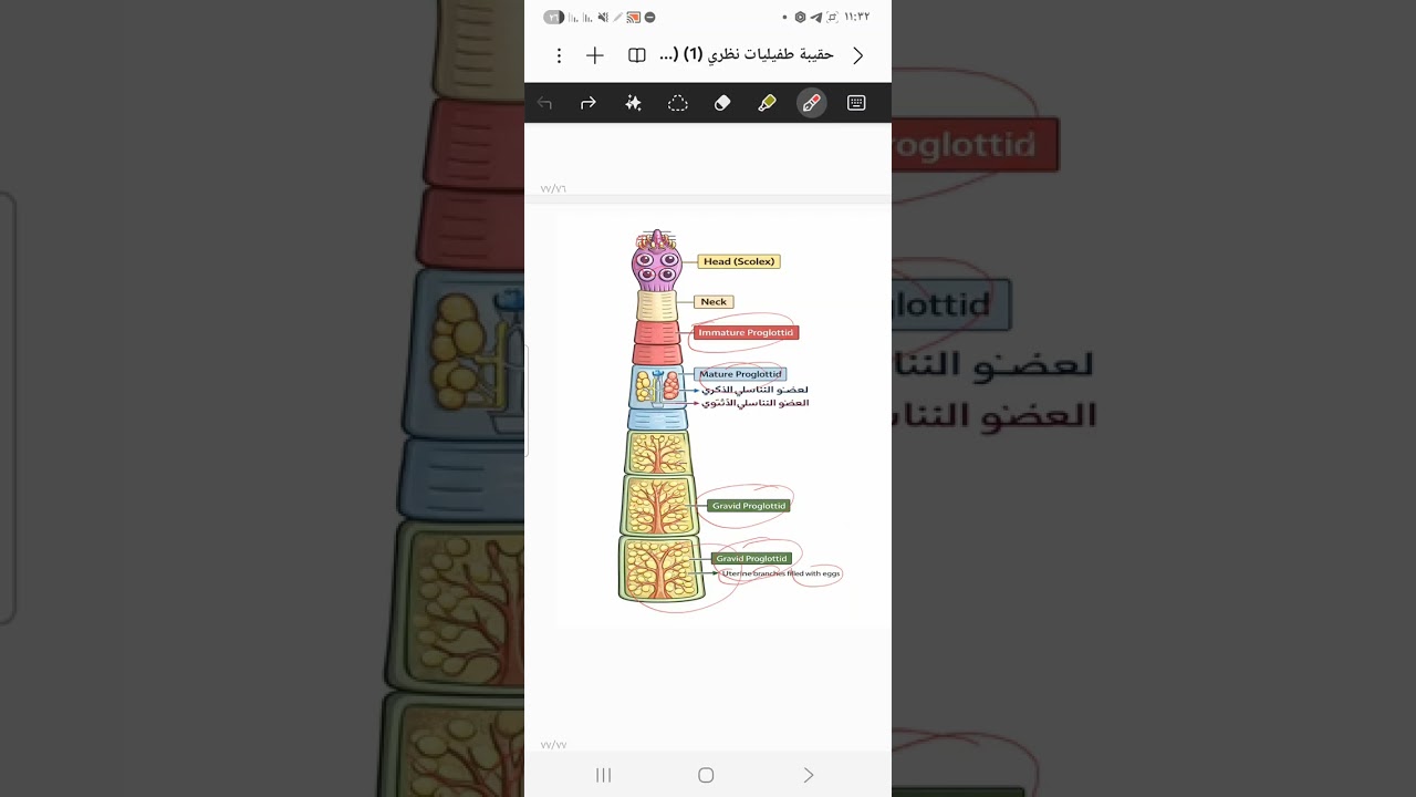 الجزء الثاني ( المحاضرة الاولى الطفيليات وزاري مرحلة رابعة تحليلات) شرح يحفظك ب الاستماع مع مرشحات🔥