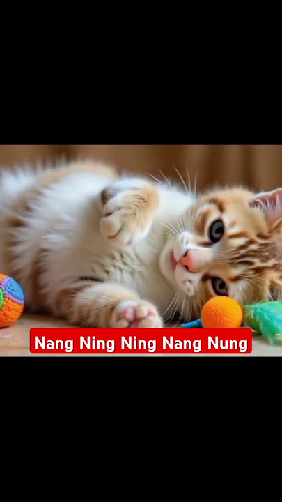 Download lagu Nang Ning Ning Nang Nung #meong #cat #kucing #kucinglucu