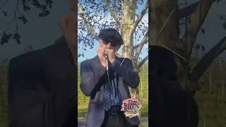 Blues Ao Vivo Na Tarde Da Vinícola Miolo Ale Lucietto Quarteto No Jazz & Wine Festival