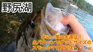 Lake Nojiri] Explosive jumps! Caught a good-sized smallmouth bass