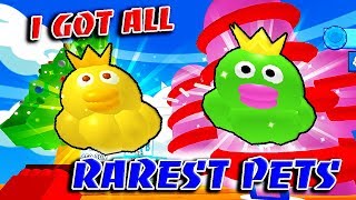 Rarest Pet In Ice Cream Simulator - i got all strongest rarest pets in ice cream simulator toy land update