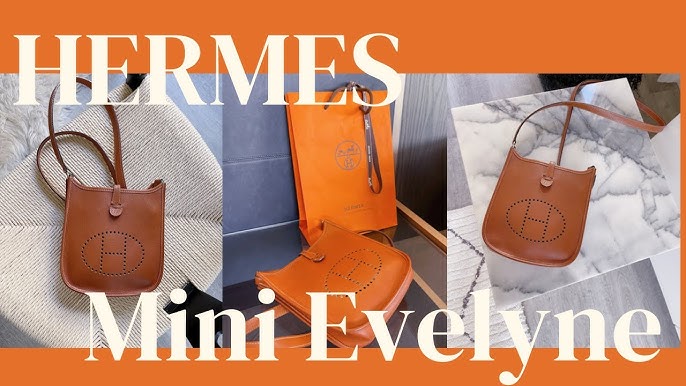 HERMÈS EVELYNE TPM VS. PM  Mini Review, What Fits & Outfit