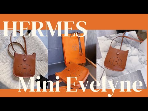 HERMÈS EVELYNE TPM VS. PM  Mini Review, What Fits & Outfit Inspiration  (Feat. LXR) 