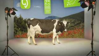 Vote for the new EU Organic Logo
