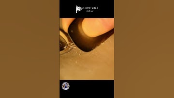 Violin top arching 14 Scraper finish 3 #shorts