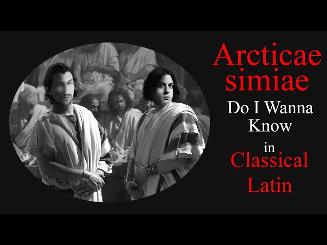 Arctic Monkeys - Do I Wanna Know cover in Classical Latin (BARDCORE) class=