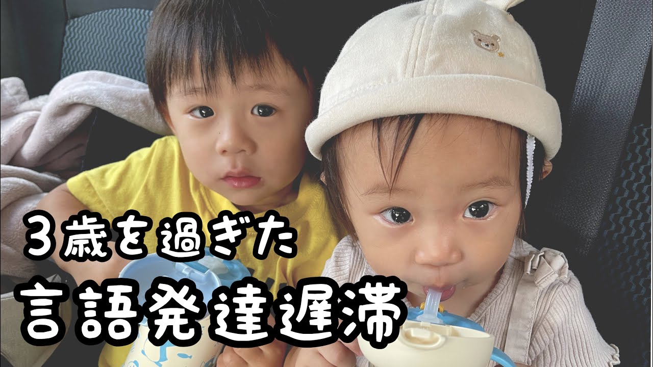 ３歳になった言語発達遅延児の経過