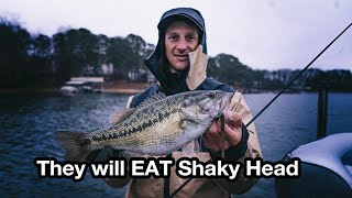 Cobb's Winter Cold water Shaky head Setup | Cobb Series Rod | Gravity Series Reel | Spotted Bass