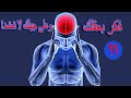 فأن فيه يحل كل ملء اللأهوت جسديا فكر بعقلك وعلى جهلك لاتعتمد للدكتور امادو عثمان الحلقة 11 mp3