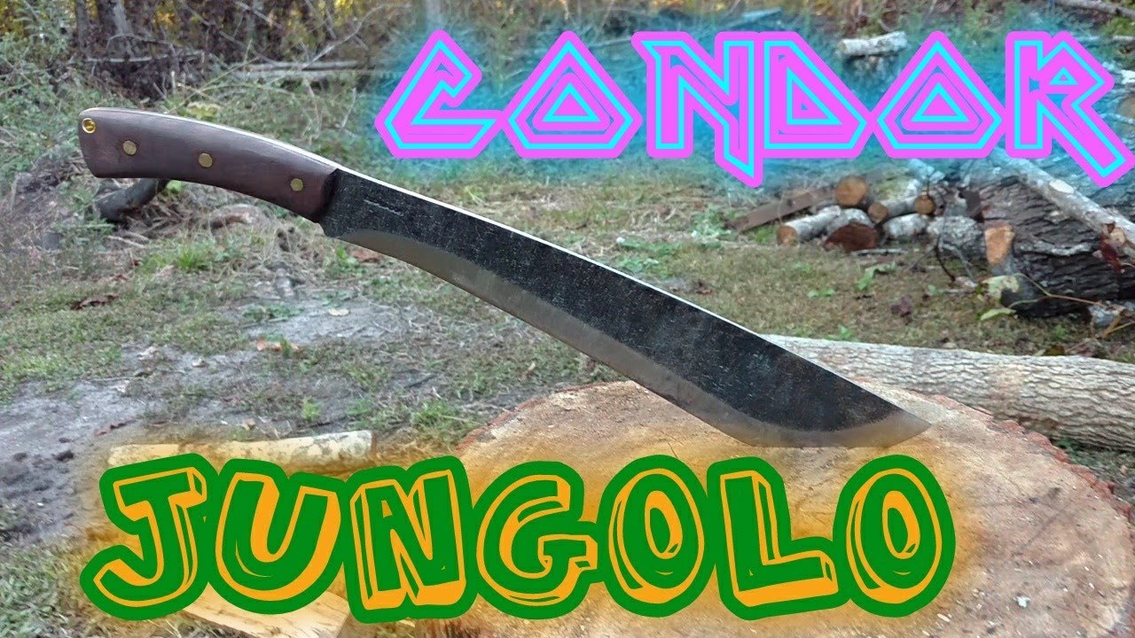 Condor jungolo YouTube