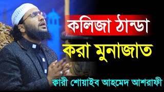 Munajat 2023 | Qari Shoaib Ahmed Ashrafi | কলিজা ঠান্ডা করা মুনাজাত | ক্বারী শোয়াইব আহমেদ আশরাফী