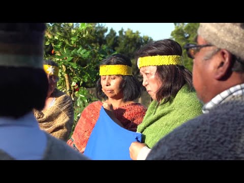 Comisión rechaza reconocimiento legal de pueblo Huilliche