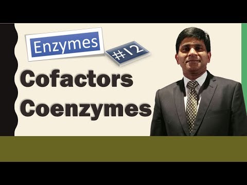 Cofactors and Coenzymes: Enzymology:  biochemistry