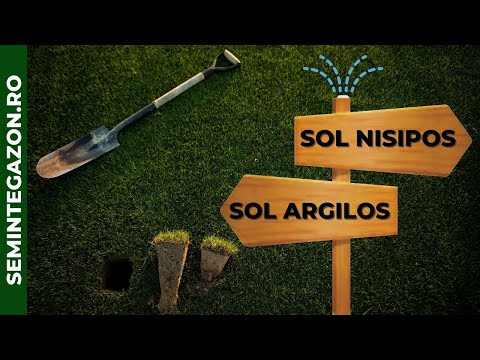 Video: Va solul nisipos argilos?