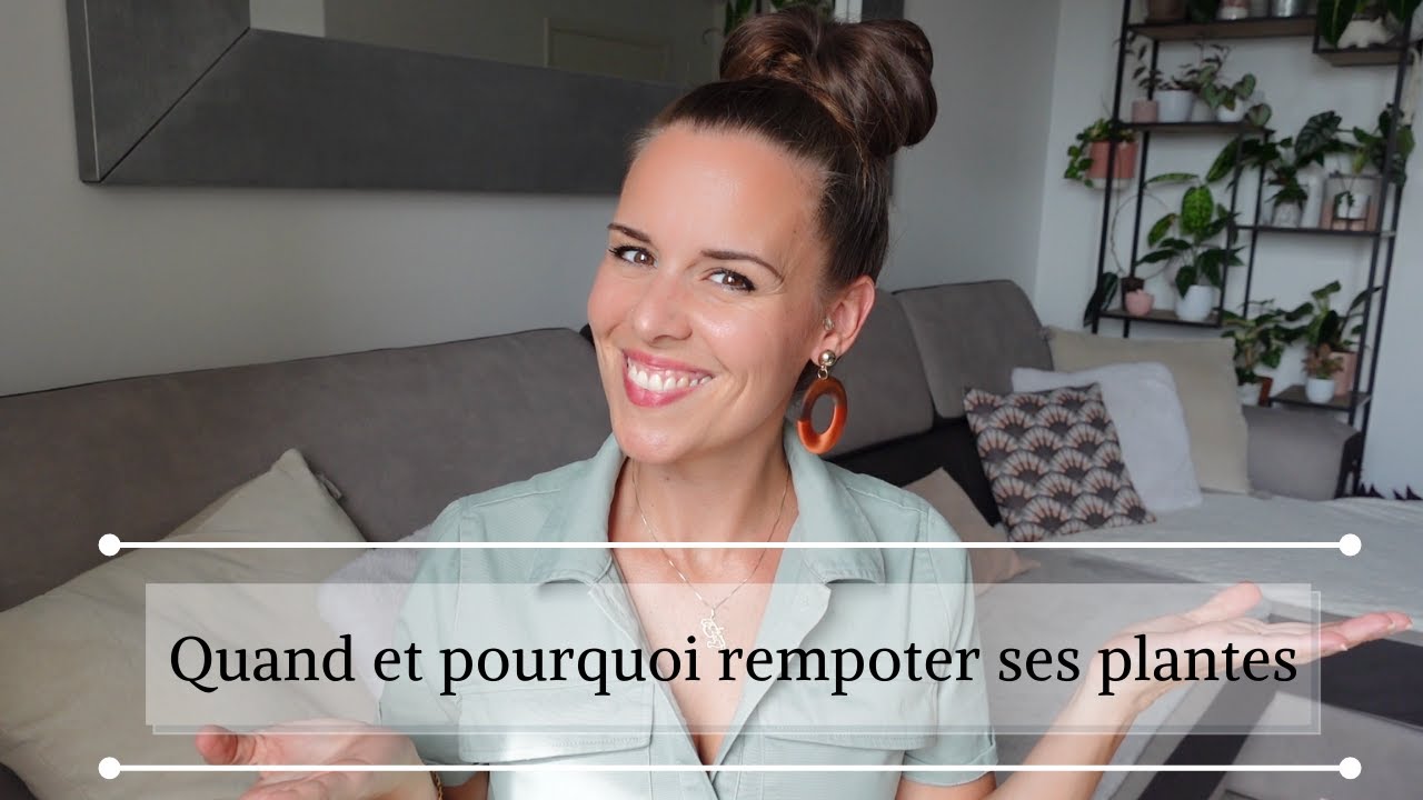 Rempotage: quand/pourquoi rempoter sa plante